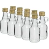 Galonflaska 40ml med skruvkork - 10st. - 4 