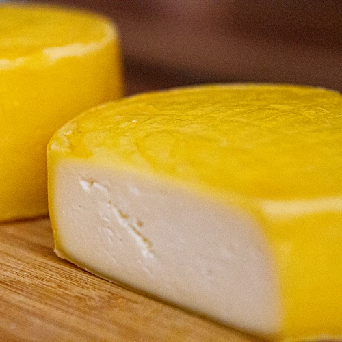 Bakteriekulturer för goudaost - 5