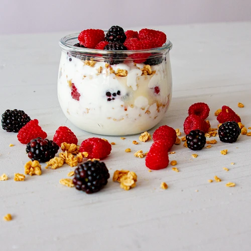 Yoghurtkulturer – bakteriekulturer för yoghurt - 4
