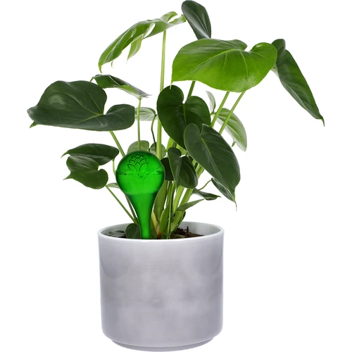Bevattningskulor för växter, gröna transparenta, 400 ml, 4 st. - 6