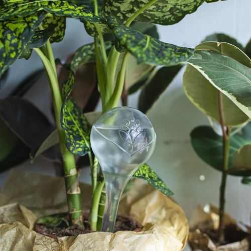 Bevattningskulor för växter, transparenta, 400 ml, 2 st. - 11