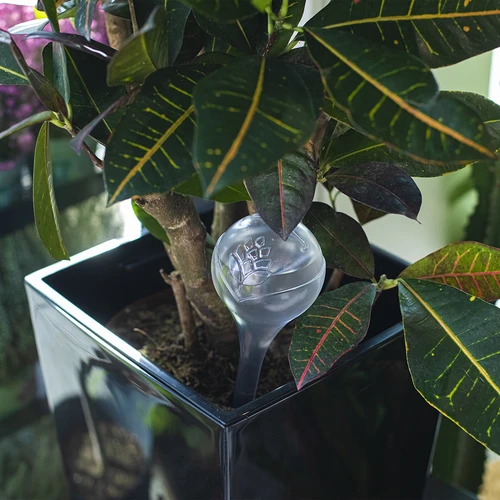 Bevattningskulor, transparenta, 400 ml, 4 st. - 9