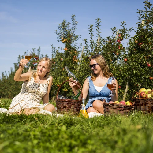 Ciderkit 20 L - 16