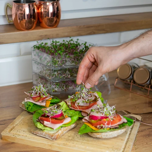 Fröset för groddar - 10 förpackningar - 5