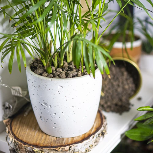 Keramzit för krukväxter, trädgårdsskötsel och skogar i glas, 4-10 mm, 2L - 9
