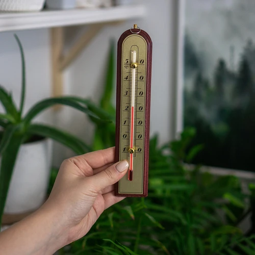 Rumstermometer med guldfärgad skala (-10°C till +50°C) 22cm, mix - 3