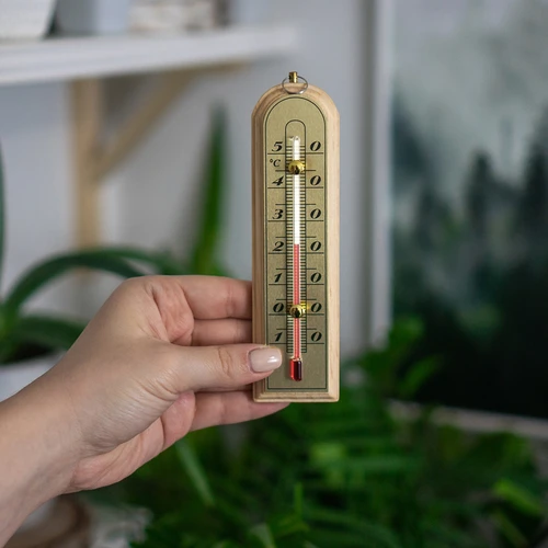 Rumstermometer med guldskala (-10°C till +50°C) 16cm - 3