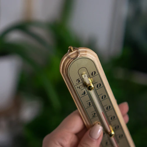 Rumstermometer med guldskala (-10°C till +50°C) 16cm - 4