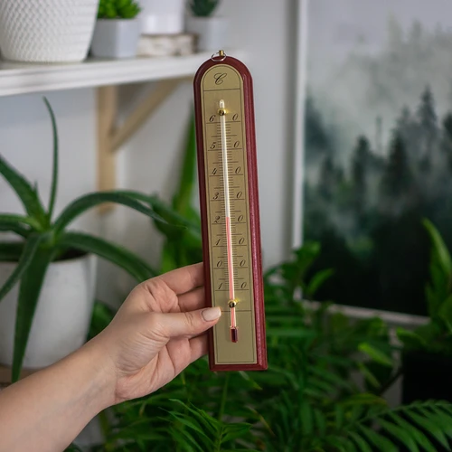Rumstermometer med guldskala (-10°C till +60°C) 28cm mix - 6