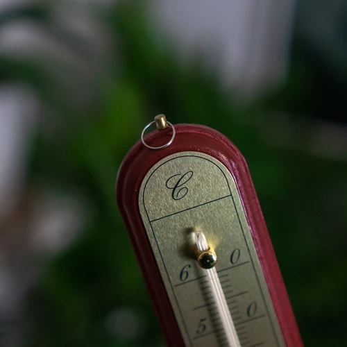 Rumstermometer med guldskala (-10°C till +60°C) 28cm mix - 7