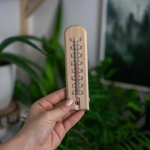 Rumstermometer med mönster (-20°C till +50°C) 15cm - 4