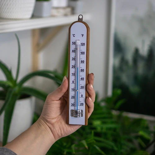 Rumstermometer med vit skala (-30°C till +50°C) 20cm - 3