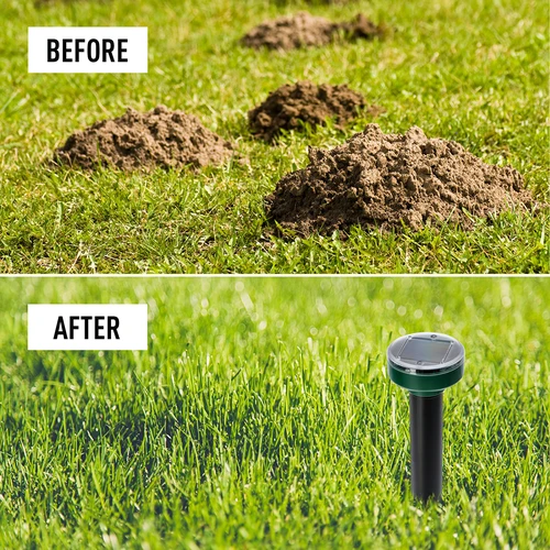 Solcellsdriven mullvadsskrämma – effektivt, säkert och djurvänligt skydd för trädgården, 4-pack - 13