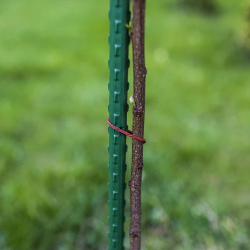 Trädgårdsstöd Bioogród – belagda stålstänger, 1,2 m, fi 11 mm, 10 st. - 5