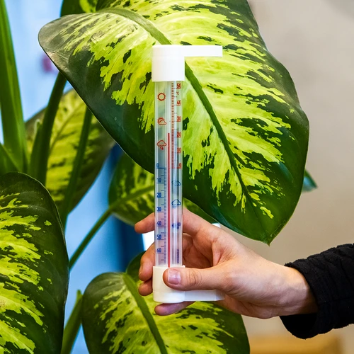 Utomhustermometer med transparent skala (-70°C till +50°C) 23cm mix - 3