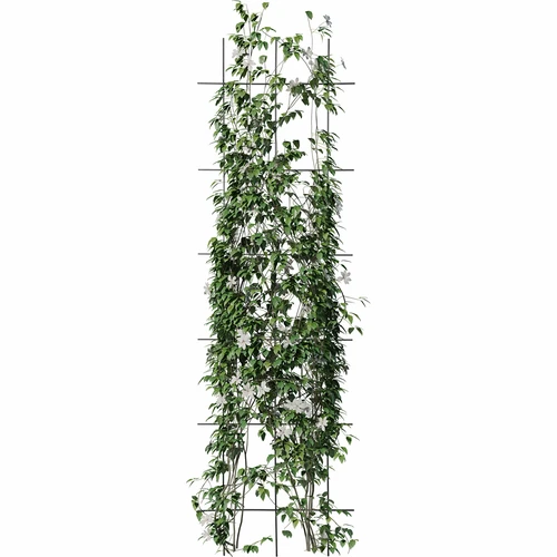 Växtstöd - galler (150cm x 45cm) 3 stycken - 3