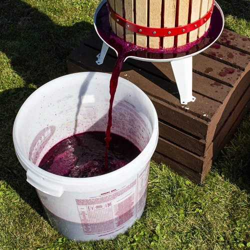 Vinjäst Burgund utan förökning, 20 ml - 4