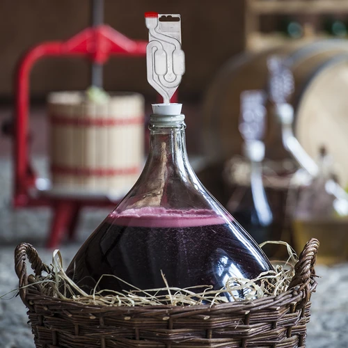 Vinjäst Burgund utan förökning, 20 ml - 8