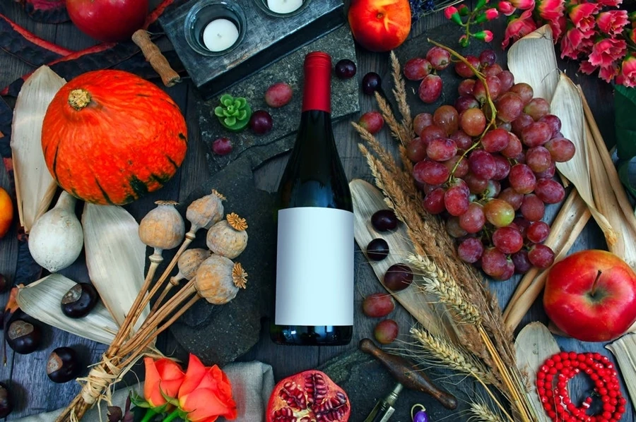 Browin Przepiśnik - Originella recept på vinterviner – vilket vin gör man när det inte är fruktsäsong?