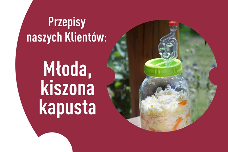 Browin Przepiśnik - Våra kunders recept: Mjölksyrad färsk kål